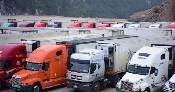 Dính đòn đau: Mỗi ngày cắn răng lỗ chục triệu, thà bỏ hết ngồi chơi