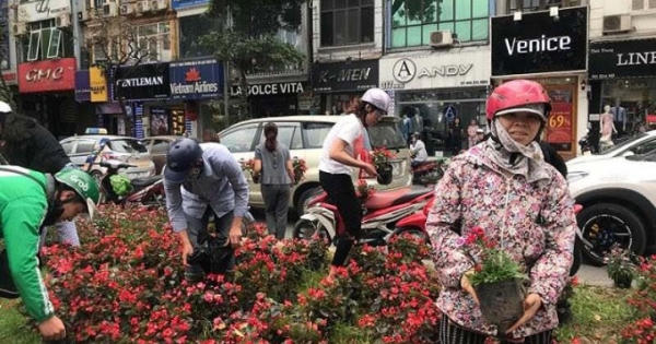 Cướp của công, dù chỉ 1 nhánh hoa, cũng nên phạt nặng! Cướp của công, dù chỉ 1 nhánh hoa, cũng nên phạt nặng!