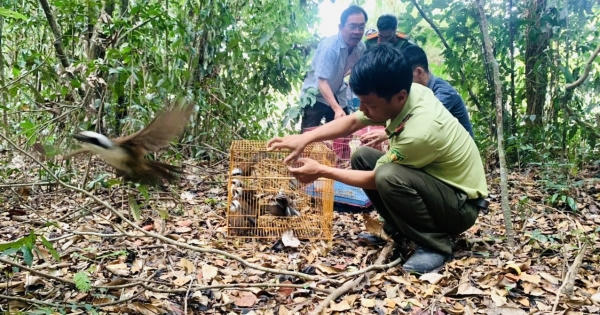 Bình Dương: Thả hàng trăm cá thể động vật quý hiếm về rừng Bình Dương: Thả hàng trăm cá thể động vật quý hiếm về rừng