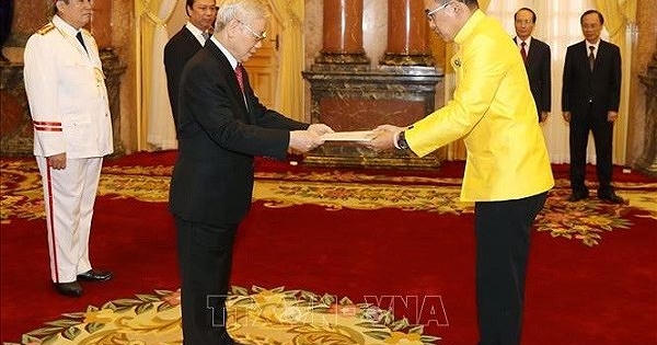 Tổng Bí thư, Chủ tịch nước tiếp các Đại sứ trình Quốc thư