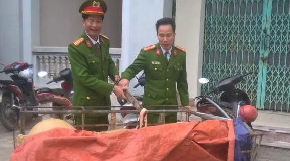 Thanh Hóa: Hơn nửa tấn nội tạng hôi thối vận chuyển trên xe khách bị bắt giữ