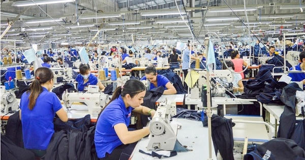 Trong thời gian thử việc, người lao động có được trả lương và hưởng bảo hiểm không?