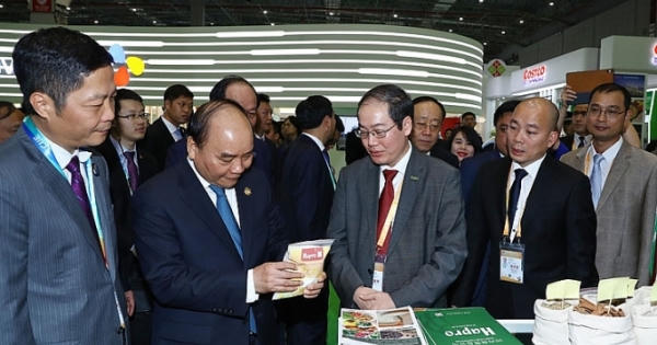 Hapro tập trung nguồn lực cho xuất khẩu và thương mại dịch vụ sau cổ phần hóa