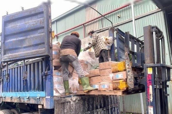 30.399 kg thực phẩm đông lạnh nhiễm vi sinh vật bị tiêu hủy 30.399 kg thực phẩm đông lạnh nhiễm vi sinh vật bị tiêu hủy