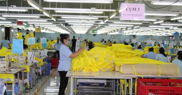 Công ty CP Dệt may Gia Định bị dừng làm thủ tục hải quan khi xuất khẩu hàng