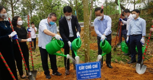 Bộ Tư pháp hưởng ứng Tết trồng cây năm 2022