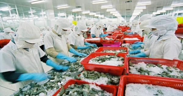 Tiếp tục giảm tiền điện cho một số nhóm doanh nghiệp