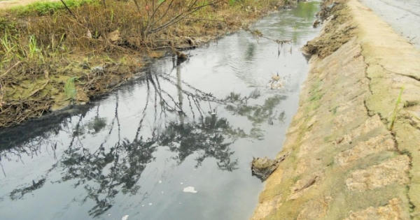 TP Quy Nhơn: Người dân phường Trần Quang Diệu “kêu trời” vì ô nhiễm môi trường