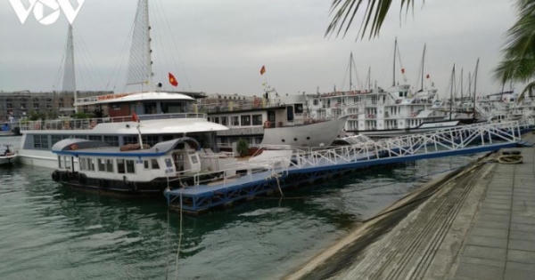 Hơn 100 hộ kinh doanh tàu du lịch Quảng Ninh xin tạm dừng hoạt động