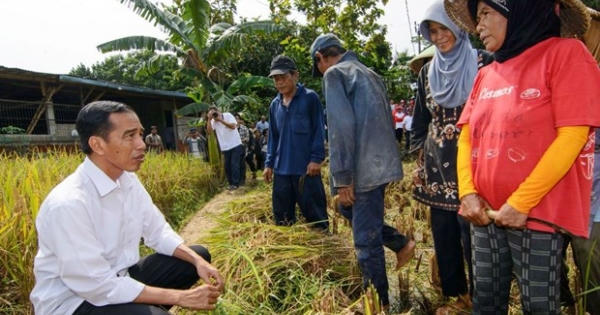 Indonesia: Tổng thống Widodo giải “bài toán” kinh tế Indonesia: Tổng thống Widodo giải “bài toán” kinh tế