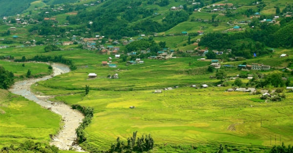 Mùng 2/9, rủ nhau lên Fansipan ngắm thảm lúa vàng rực rỡ