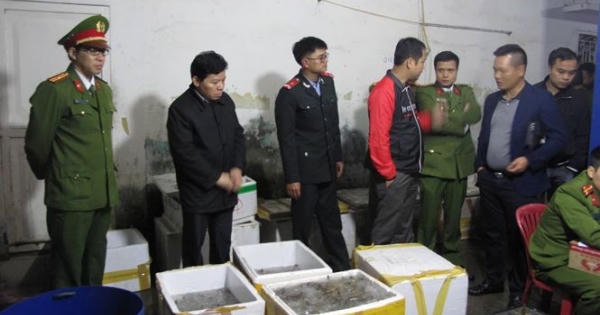 Tôm chết được bơm tạp chất tuồn lên 'bàn nhậu'