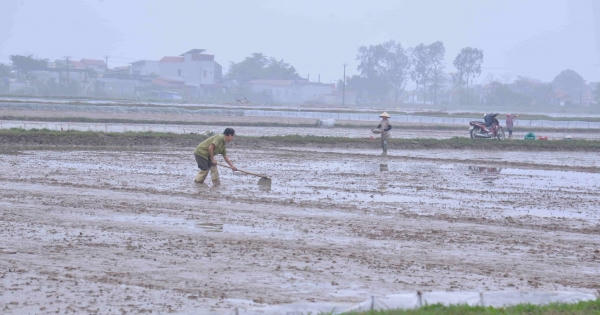 Một xã ở Nam Định hợp pháp hóa đất lấn chiếm thành đất ở