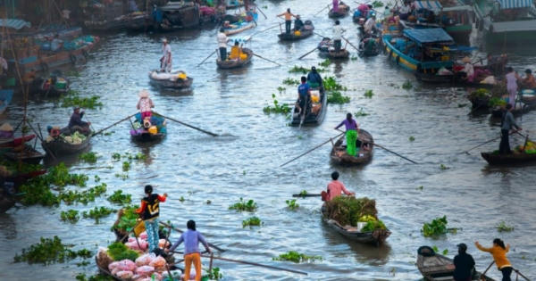 Chính phủ ban hành Chương trình hành động phát triển kinh tế - xã hội vùng đồng bằng sông Cửu Long Chính phủ ban hành Chương trình hành động phát triển kinh tế - xã hội vùng đồng bằng sông Cửu Long