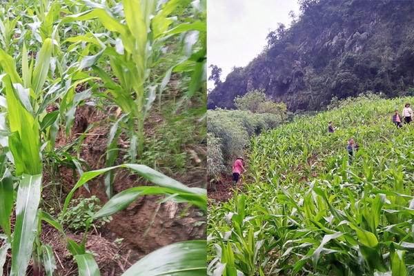 Hà Giang: Xuất hiện nhiều vết nứt, xã vùng cao Nà Khương sơ tán dân khẩn cấp