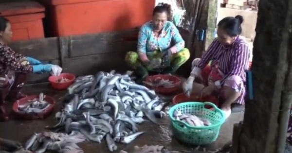 Rộ tình trạng thương lái thu mua vảy cá Rộ tình trạng thương lái thu mua vảy cá