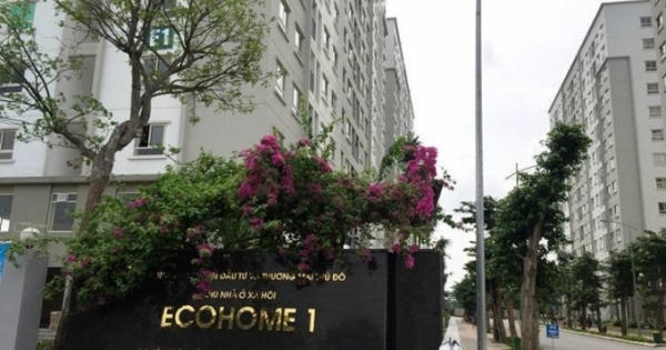 Capital House ưu đãi đặc biệt cho thuê Kios EcoHome