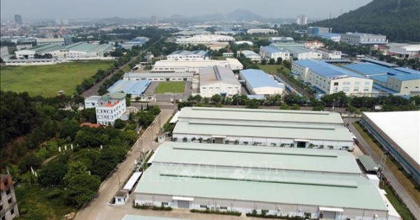Tin kinh tế 6AM: Phó TGĐ IDV bị xử phạt hành chính; Phú Yên hướng tới đô thị số, xã hội số