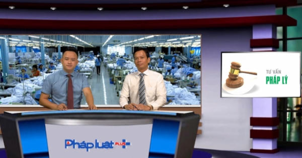 Các tranh chấp thường gặp về lao động