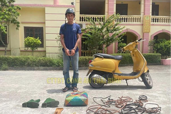 Khởi tố đối tượng gây ra hàng loạt vụ trộm cắp dây cáp điện ở Thái Bình