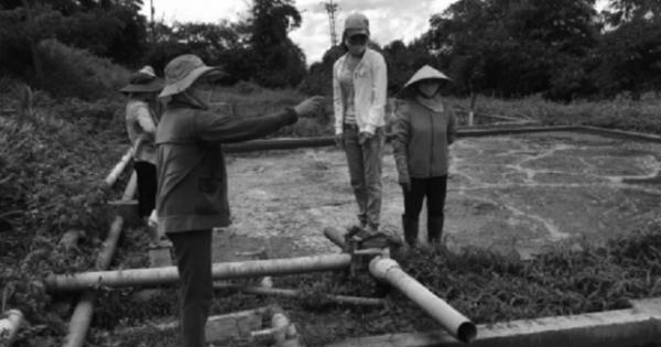 Cả làng “nhịn thở” vì nhà máy chế biến mủ cao su đổ bùn thải ra môi trường