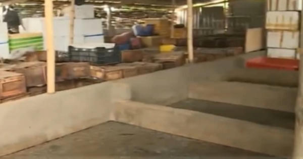 Thời sự ngày 31/3/2017: Hàng trăm tấn sữa tồn kho chưa được tiêu hủy