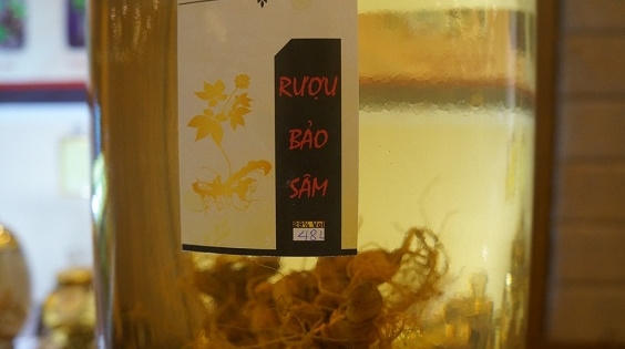 Choáng với 2 bình sâm Ngọc Linh quý giá hơn 15 cây vàng ở xứ Quảng