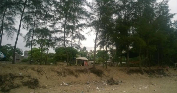 Huyện Quảng Xương (Thanh Hóa): Phập phồng nỗi lo biển xâm thực Huyện Quảng Xương (Thanh Hóa): Phập phồng nỗi lo biển xâm thực