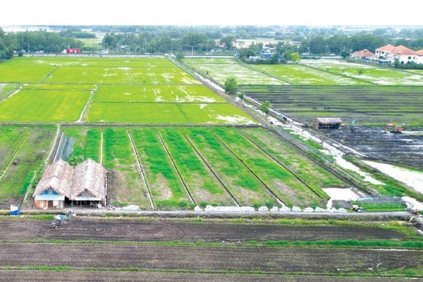 Thân nhân liệt sĩ có được miễn giảm tiền sử dụng đất khi chuyển mục đích sử dụng đất không?