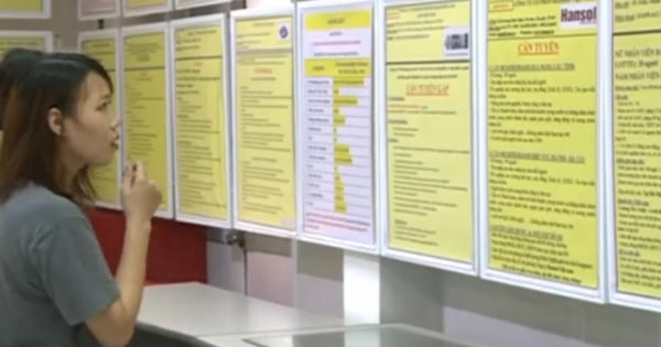 Cảnh báo các hình thức lừa đảo việc làm dịp hè