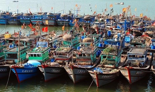 Nghịch lý nơi cứu nạn tàu thuyền phát sinh tai nạn