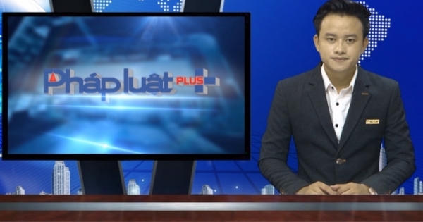 Bản tin Pháp luật Plus 8/8/2016: Có hay không việc "con bán nhà, bố chiếm đoạt tài sản của người mua"?