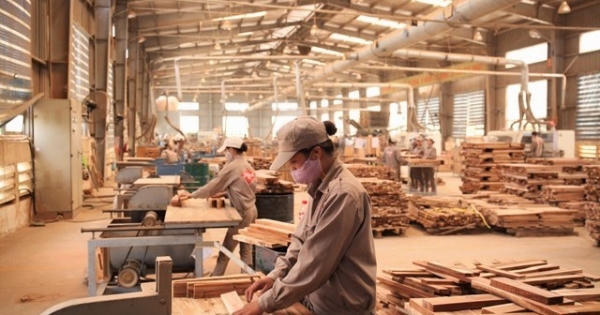 Audio Tài chính Plus: Xuất khẩu lâm sản năm nay có thể sẽ đạt 9 tỷ USD