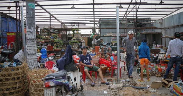 Chính thức xóa sổ 50 ki-ốt gần sân bay Tân Sơn Nhất, hàng trăm con chó mèo, thỏ con... không biết sẽ về đâu Chính thức xóa sổ 50 ki-ốt gần sân bay Tân Sơn Nhất, hàng trăm con chó mèo, thỏ con... không biết sẽ về đâu