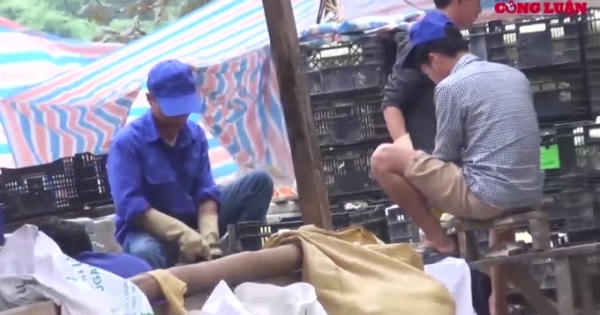 Kinh hoàng sản xuất mứt Tết tại Xuân Đỉnh – Hà Nội Kinh hoàng sản xuất mứt Tết tại Xuân Đỉnh – Hà Nội