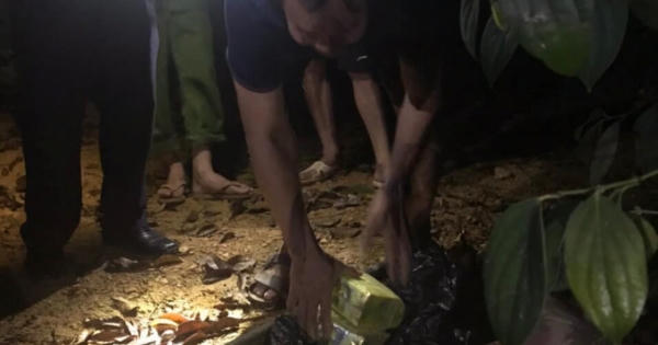 Anh em họ hàng liên kết hình thành đường dây ma túy “siêu khủng”