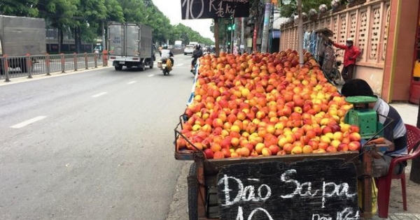 Đào, nho, mận "ngoại" gắn mác Việt bán tràn ngập thị trường