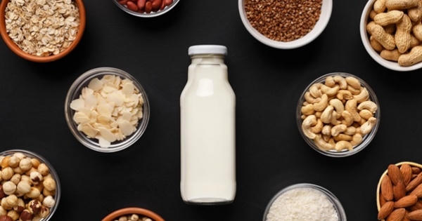 Sữa hạt năng lượng - Sự lựa chọn dinh dưỡng cho trẻ năng động suốt ngày dài Sữa hạt năng lượng - Sự lựa chọn dinh dưỡng cho trẻ năng động suốt ngày dài