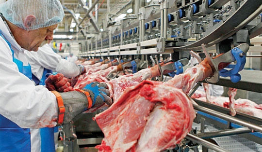 Audio Tài chính Plus: Việt Nam chi gần nửa tỷ USD nhập khẩu thịt
