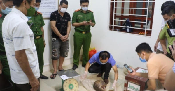 Phát hiẹn 4 cá thể tê tê quý hiếm trước giờ lên bàn nhậu