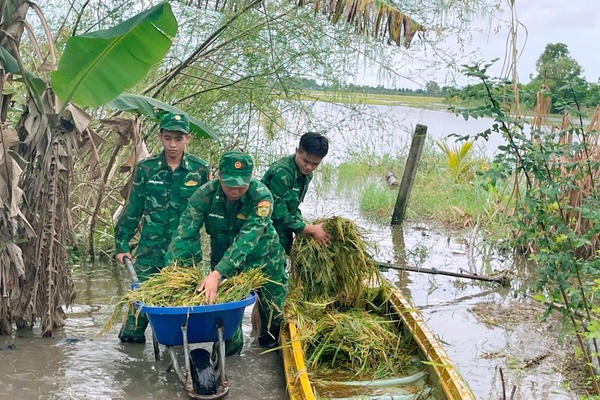 Thắm tình quân dân nơi biên giới Tây Ninh