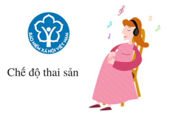 Công ty Global Edu Việt Nam nợ tiền BHXH, nhân viên "mòn mỏi" chờ tiền thai sản