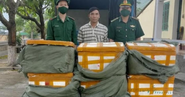 Quảng Ninh: Bắt giữ đối tượng dùng ô tô tải chở 4 tạ nội tạng đông lạnh nhập lậu