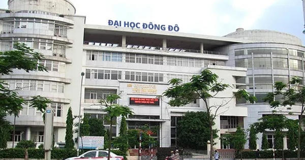 'Tảng băng chìm' Đại học Đông Đô: Tràn lan đào tạo 'chui'