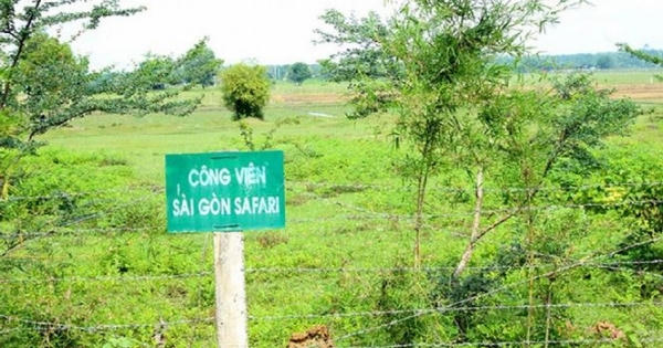 Thanh tra Chính phủ: TPHCM gây thất thoát hơn 104 tỷ tại dự án Safari