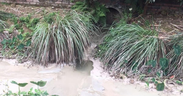 Bỏ ruộng vì trạm trộn bê tông xả thải ô nhiễm ở huyện Nam Sách