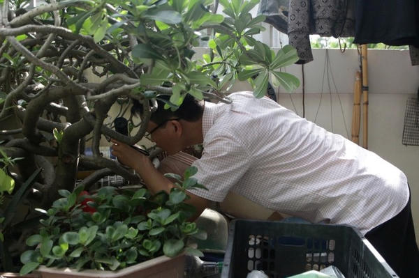 Hà Nội: Tuần qua, số ca mắc sốt xuất huyết tăng gấp đôi Hà Nội: Tuần qua, số ca mắc sốt xuất huyết tăng gấp đôi