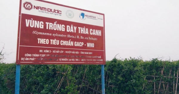 10 năm một giấc mơ trị tiểu đường bằng đông y