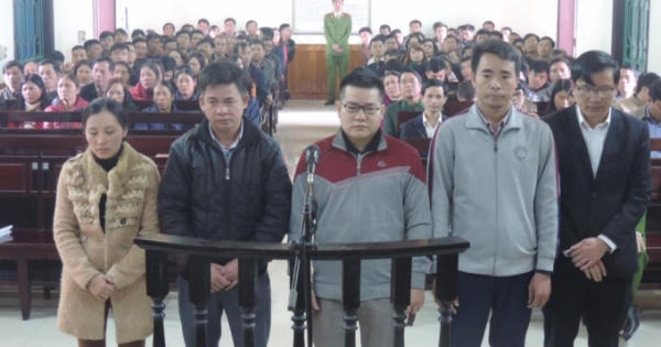 Hô biến "đất lâm nghiệp" thành "đất nông nghiệp", 5 cán bộ huyện lĩnh án