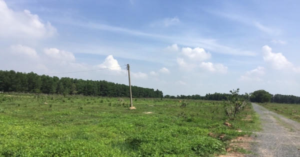 Ông lão 90 tuổi 20 năm "gánh" đơn đi tìm công lý: “Trống đánh xuôi kèn thổi ngược”
